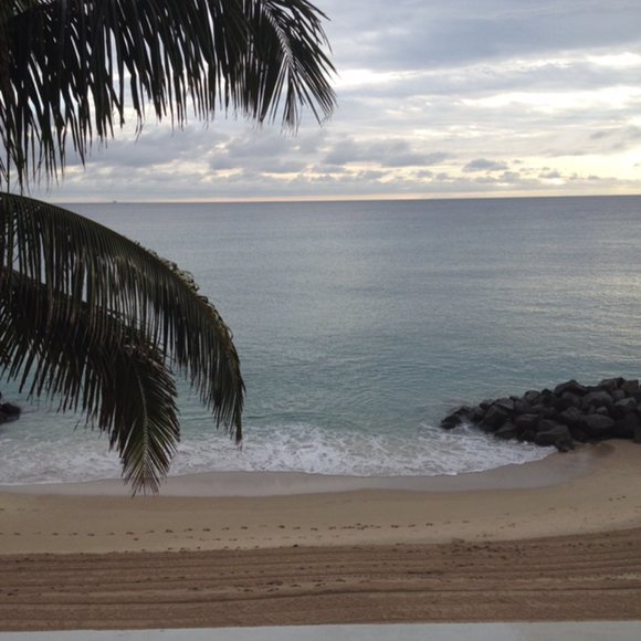 Meet your Posher, Lola - Picture 7 of 8